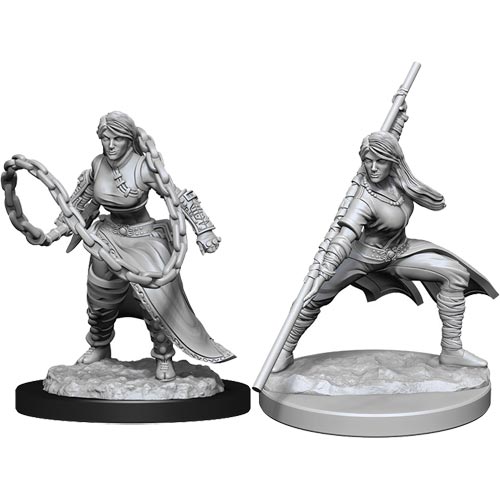 DND Nolzur's Marvelous Miniatures W14 Female Human Monk