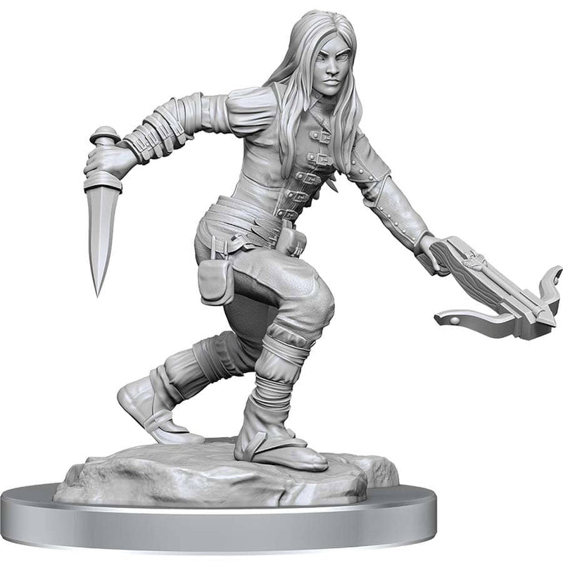 DND Nolzur's Marvelous Miniatures  W17 Female Half Elf Rogue