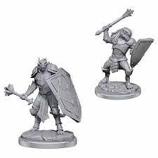 DND Nolzur's Marvelous Miniatures  W18 Dragonborn Clerics