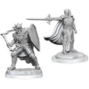 DND Nolzur's Marvelous Miniatures W20 Death Knights