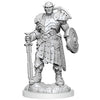 DND Nolzur's Marvelous Miniatures W20 Earth Genasi Fighter