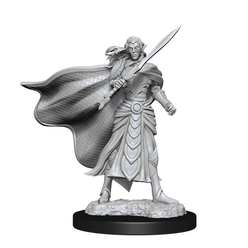 Magic the Gathering Unpainted Miniatures W14 Elf Fighter and Elf Cleric
