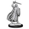 Pathfinder Deep Cuts Unpainted Miniatures W14 Female Human Champion