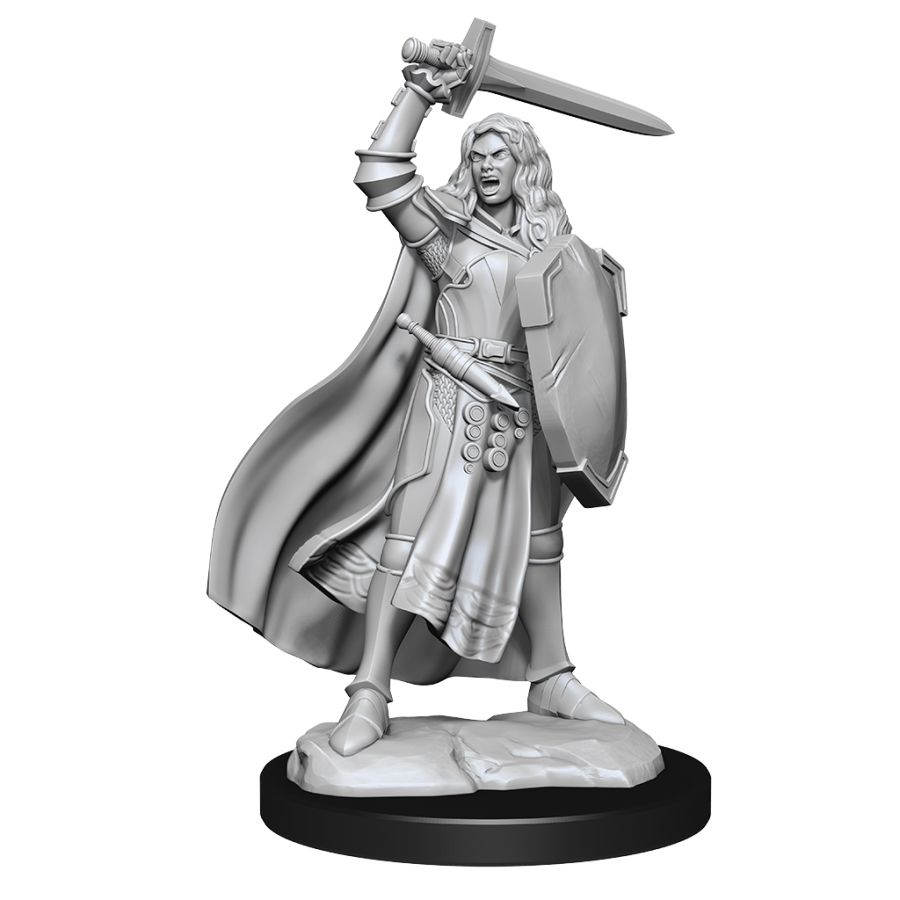Pathfinder Deep Cuts Unpainted Miniatures W14 Female Human Champion