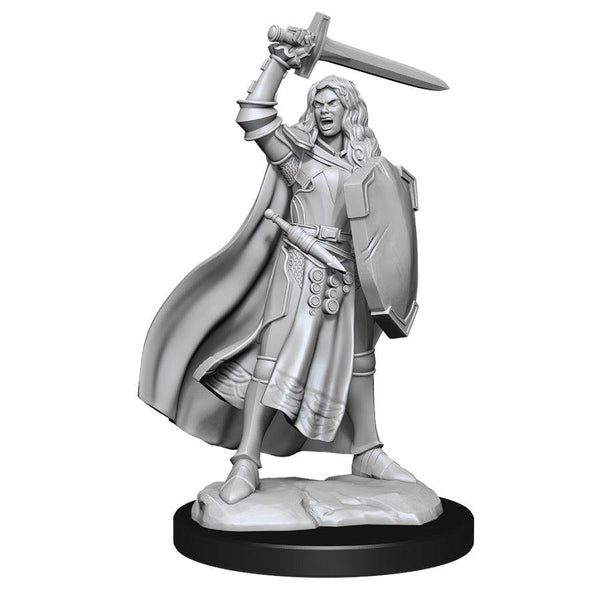 Pathfinder Deep Cuts Unpainted Miniatures W14 Female Human Champion