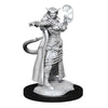 DND Nolzur's Marvelous Miniatures W15 Female Tiefling Sorcerer