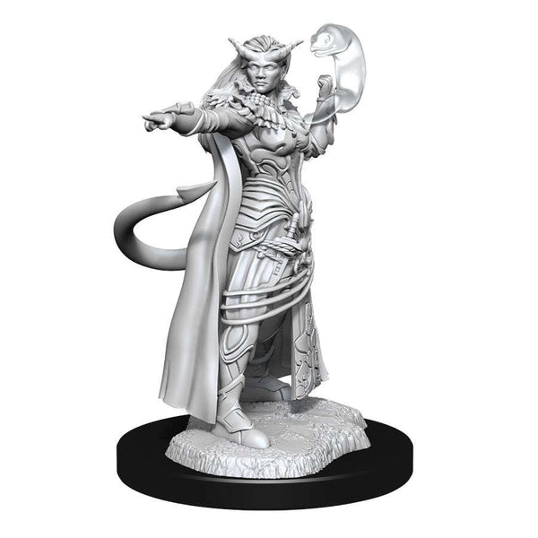 DND Nolzur's Marvelous Miniatures W15 Female Tiefling Sorcerer