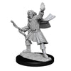 Pathfinder Deep Cuts Unpainted Miniatures W14 Male Elf Sorcerer