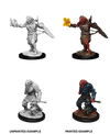 DND Nolzur's Marvelous Miniatures W11 Male Dragonborn Paladin