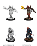 DND Nolzur's Marvelous Miniatures W11 Male Dragonborn Paladin