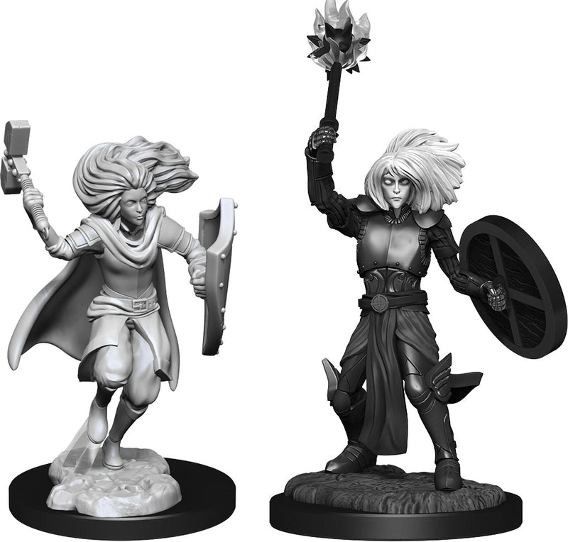 DND Nolzur's Marvelous Miniatures W14 Changling Clerics