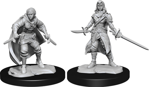 DND Nolzur's Marvelous Miniatures W14 Female Half Elf Rogue