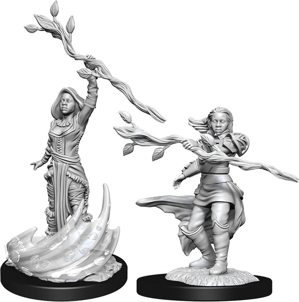 DND Nolzur's Marvelous Miniatures W14 Female Human Druid