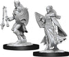 DND Nolzur's Marvelous Miniatures W14 Female Kalashtar Cleric