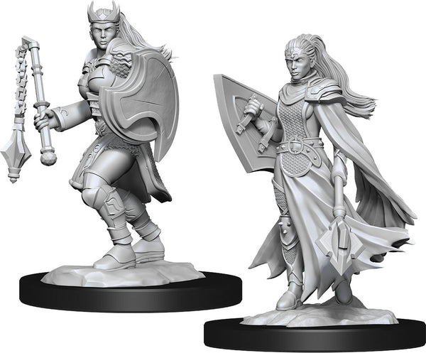 DND Nolzur's Marvelous Miniatures W14 Female Kalashtar Cleric