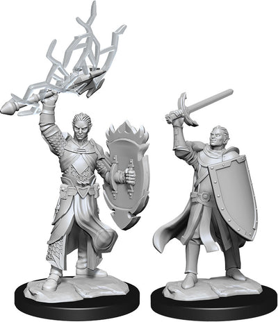 DND Nolzur's Marvelous Miniatures W14 Male Half Elf Paladin
