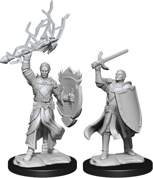 DND Nolzur's Marvelous Miniatures W14 Male Half Elf Paladin