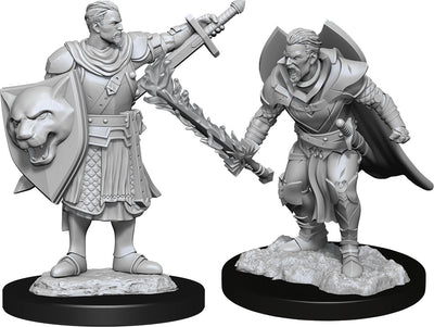 Pathfinder Deep Cuts Unpainted Miniatures W14 Male Human Champion