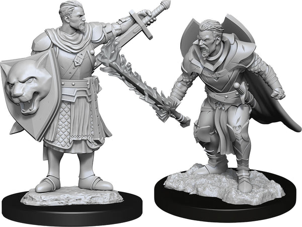 Pathfinder Deep Cuts Unpainted Miniatures W14 Male Human Champion