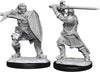 DND Nolzur's Marvelous Miniatures W14 Male Human Paladin