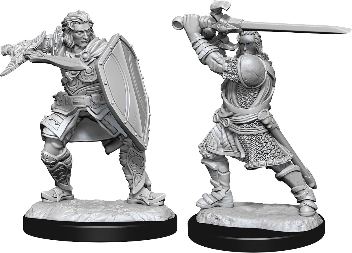 DND Nolzur's Marvelous Miniatures W14 Male Human Paladin