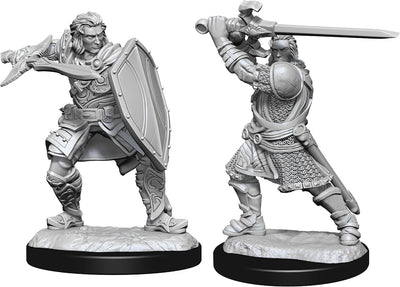 DND Nolzur's Marvelous Miniatures W14 Male Human Paladin