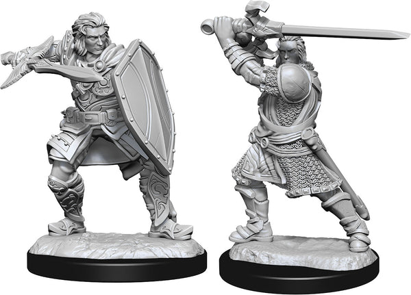 DND Nolzur's Marvelous Miniatures W14 Male Human Paladin