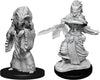 DND Nolzur's Marvelous Miniatures: W14 Night Hag and Dusk Hag