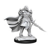 DND Nolzur's Marvelous Miniatures W15 Female Dragonborn Fighter