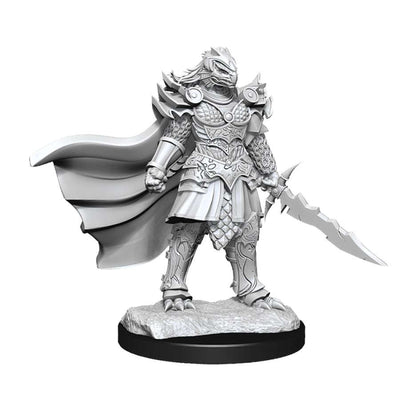 DND Nolzur's Marvelous Miniatures W15 Female Dragonborn Fighter