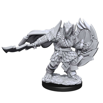 DND Nolzur's Marvelous Miniatures W15 Male Dragonborn Fighter