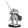 DND Nolzur's Marvelous Miniatures W15 Male Half Orc Paladin