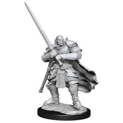DND Nolzur's Marvelous Miniatures W15 Male Half Orc Paladin