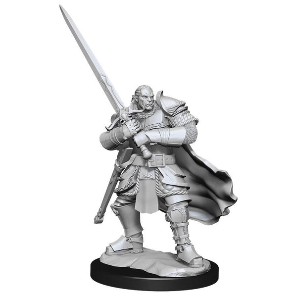 DND Nolzur's Marvelous Miniatures W15 Male Half Orc Paladin