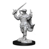 DND Nolzur's Marvelous Miniatures W15 Male Human Bard