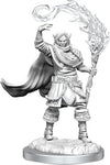 DND Nolzur's Marvelous Miniatures W16 Elf Male Cleric