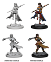 DND Nolzur's Marvelous Miniatures W1 Human Female Monk