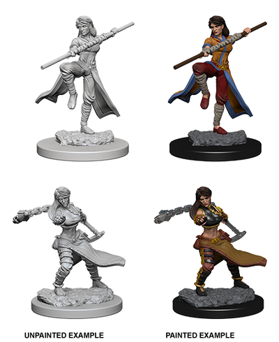 DND Nolzur's Marvelous Miniatures W1 Human Female Monk