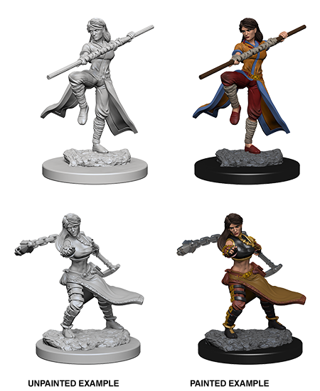 DND Nolzur's Marvelous Miniatures W1 Human Female Monk