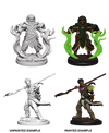 DND Nolzur's Marvelous Miniatures W3 Male Human Druid
