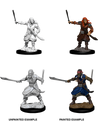 DND Nolzur's Marvelous Miniatures W8 Bandits