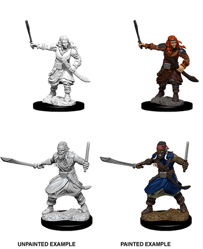 DND Nolzur's Marvelous Miniatures W8 Bandits