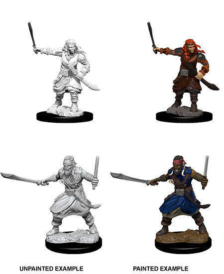 DND Nolzur's Marvelous Miniatures W8 Bandits