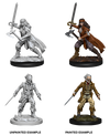 DND Nolzur's Marvelous Miniatures W8 Vampire Hunters